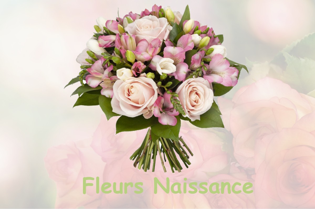 fleurs naissance UGNY-SUR-MEUSE